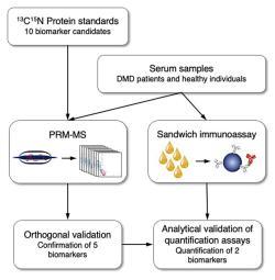 DMD_biomarker_231107.jpg